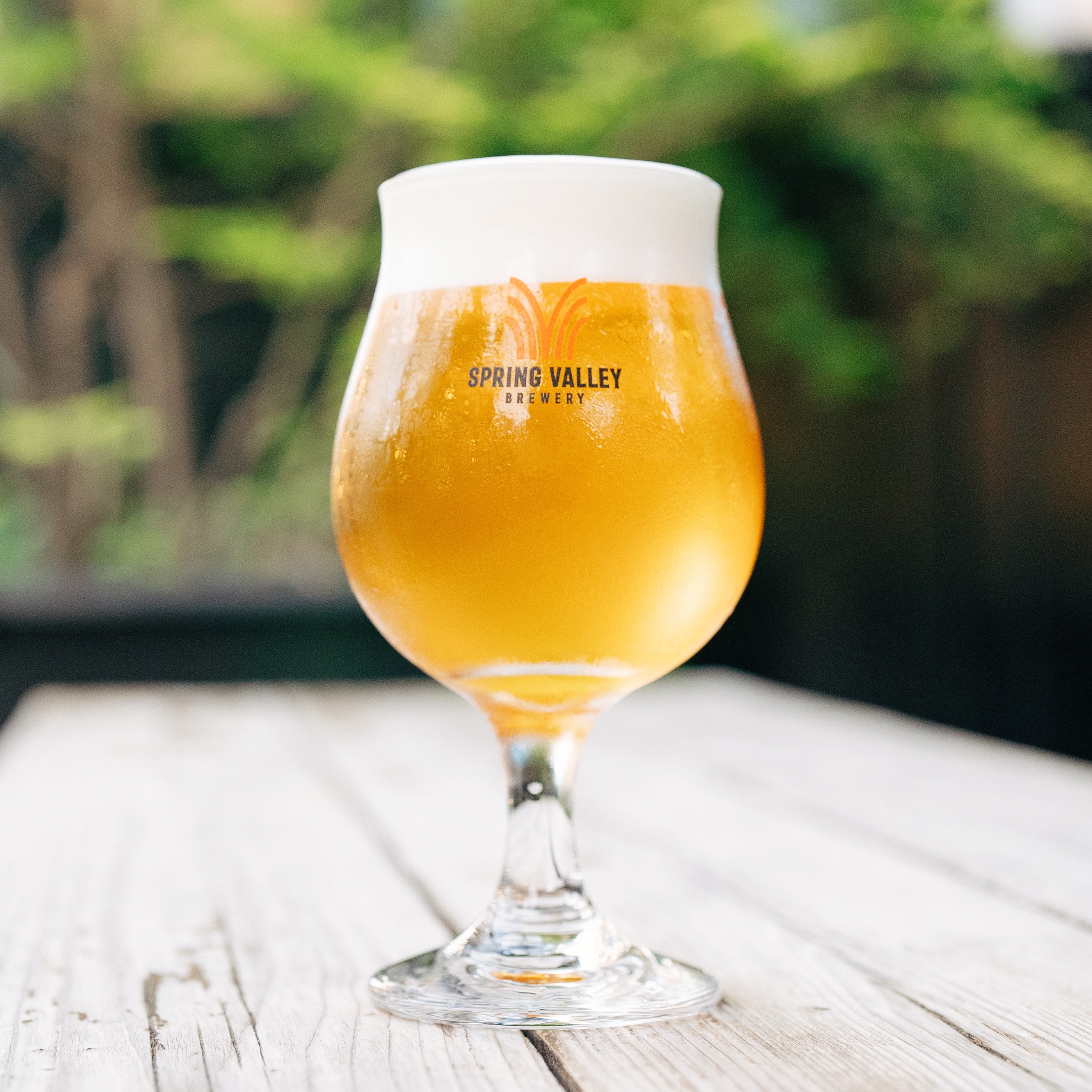 SVB LAGER #3 ～熟成ホップ～｜OUR CRAFT BEER | スプリングバレー